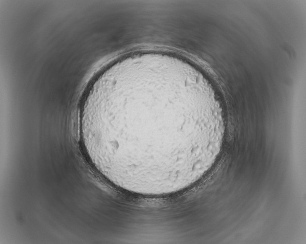 X0000112521223200909281010
