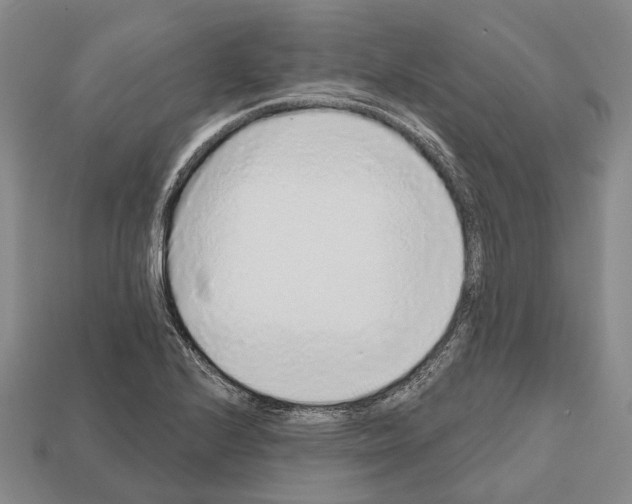 X0000112521224200909281010
