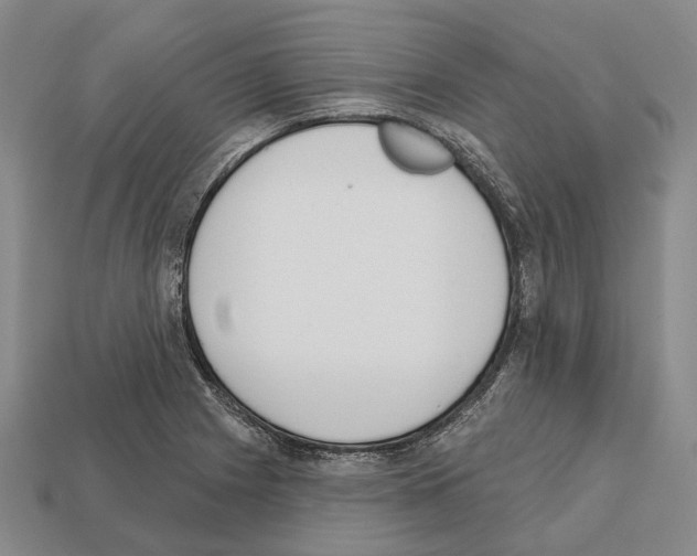 X0000112521225200909281010