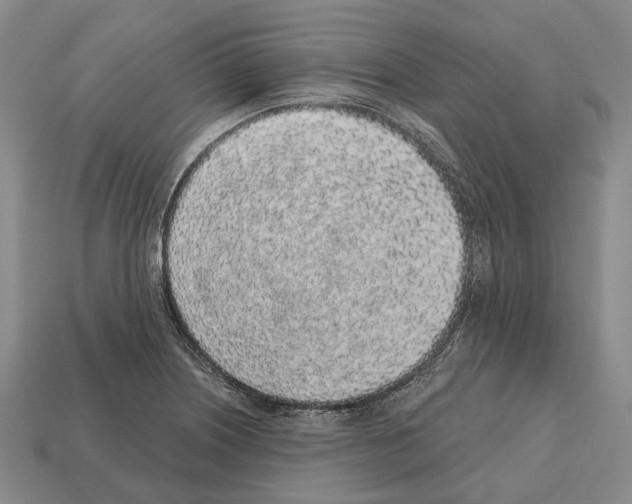 X0000112521226200909281010
