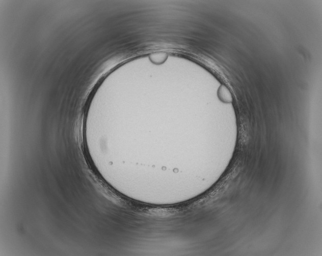 X0000112521227200909281010