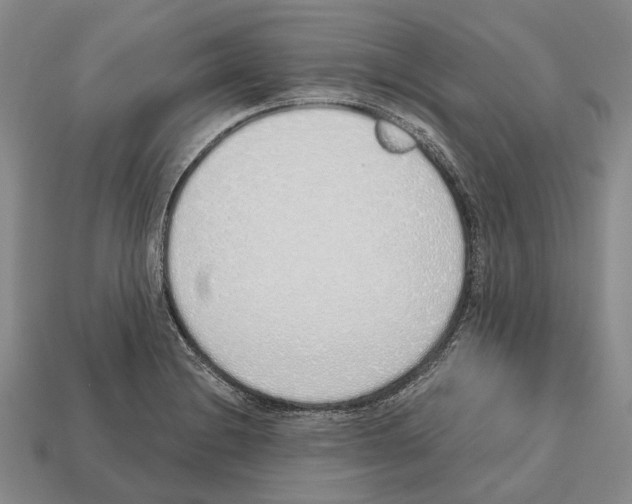 X0000112521228200909281010