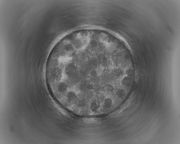 X0000112521231200909281010