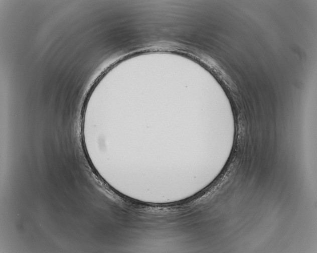 X0000112521232200909281010