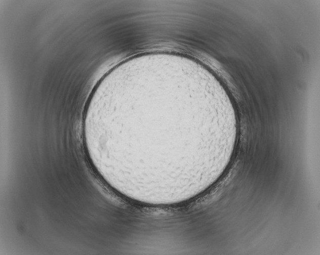 X0000112521234200909281010