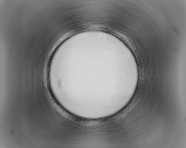 X0000112521235200909281010