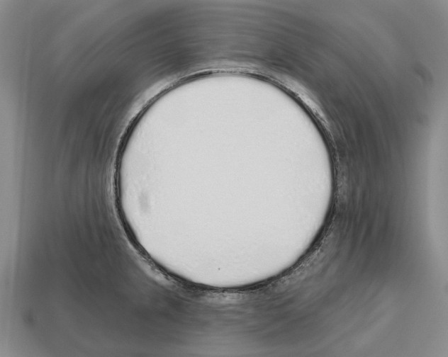 X0000112521237200909281010