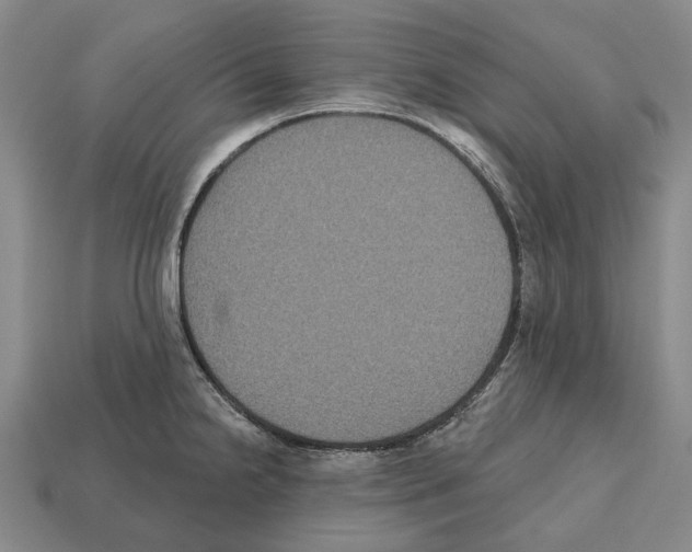 X0000112521238200909281010