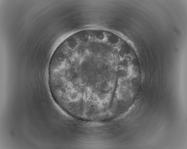 X0000112521239200909281010