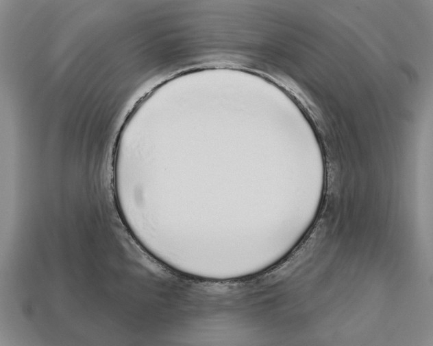 X0000112521240200909281010