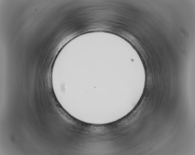 X0000112521242200909281010