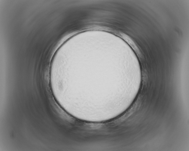 X0000112521244200909281010