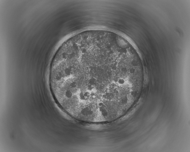 X0000112521245200909281010