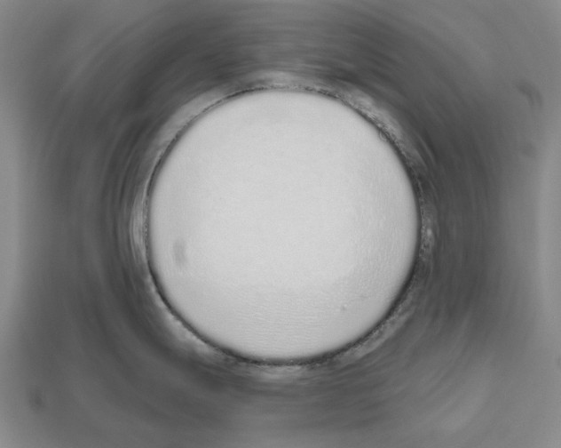 X0000112521247200909281010