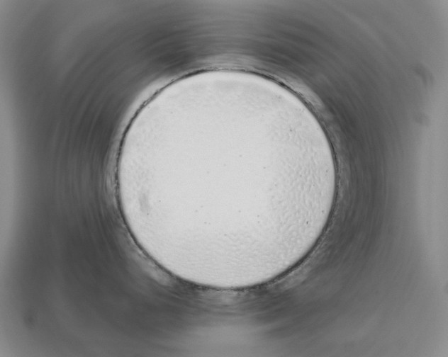 X0000112521248200909281010