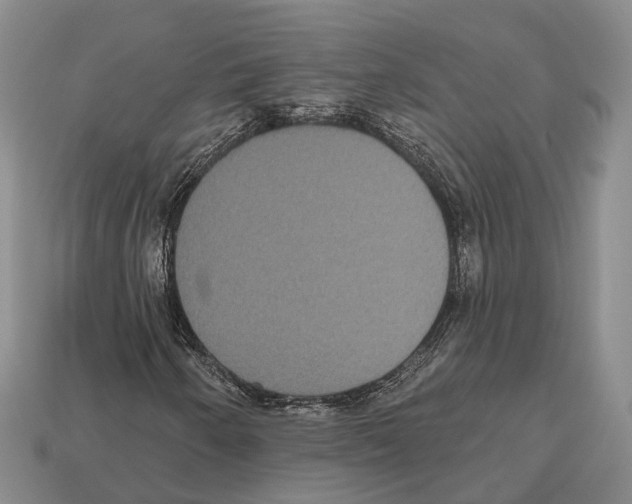 X0000112521250200909281010