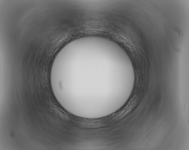 X0000112521252200909281010