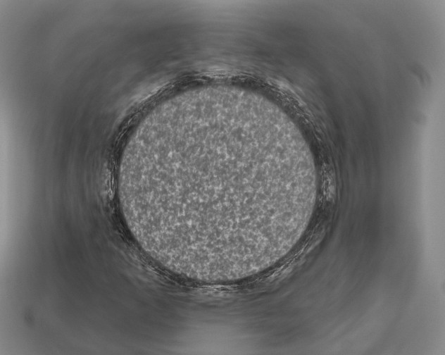 X0000112521253200909281010