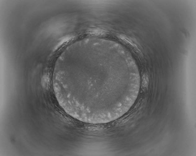 X0000112521254200909281010