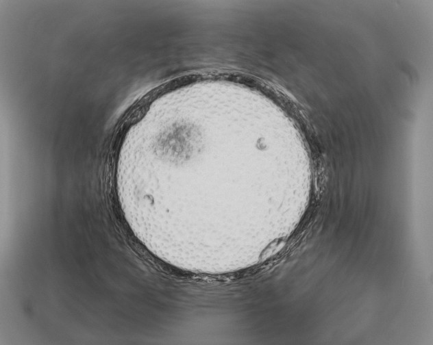 X0000112521255200909281010