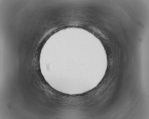 X0000112521256200909281010