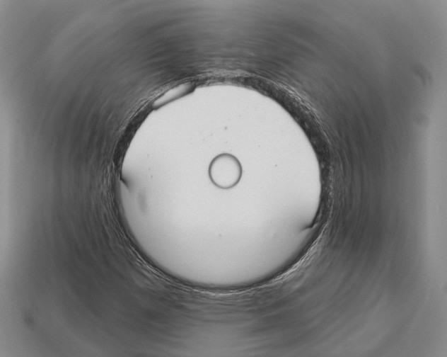 X0000112521257200909281010