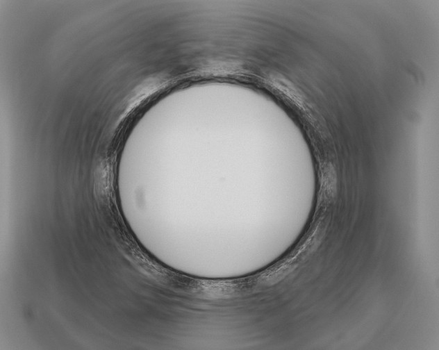 X0000112521258200909281010