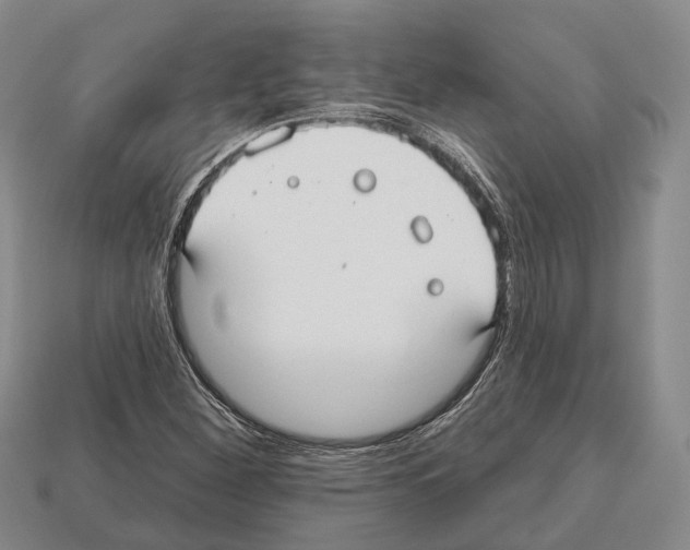 X0000112521260200909281009