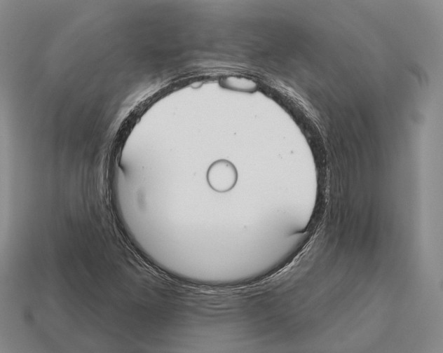 X0000112521261200909281009