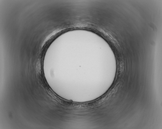 X0000112521262200909281009