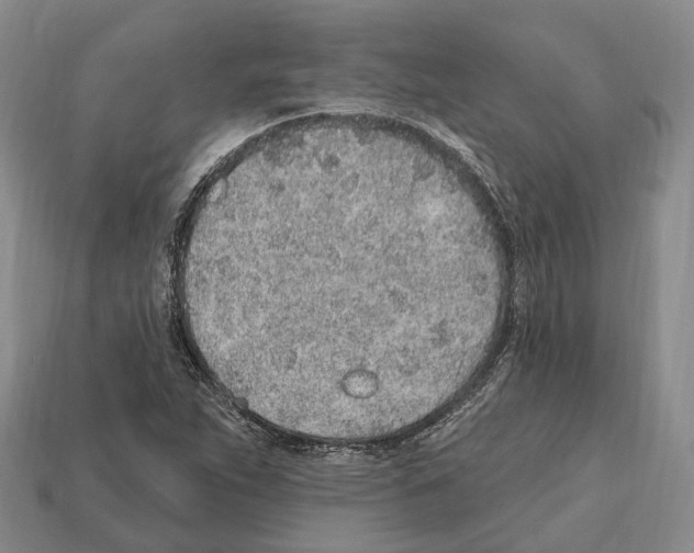 X0000112521263200909281009