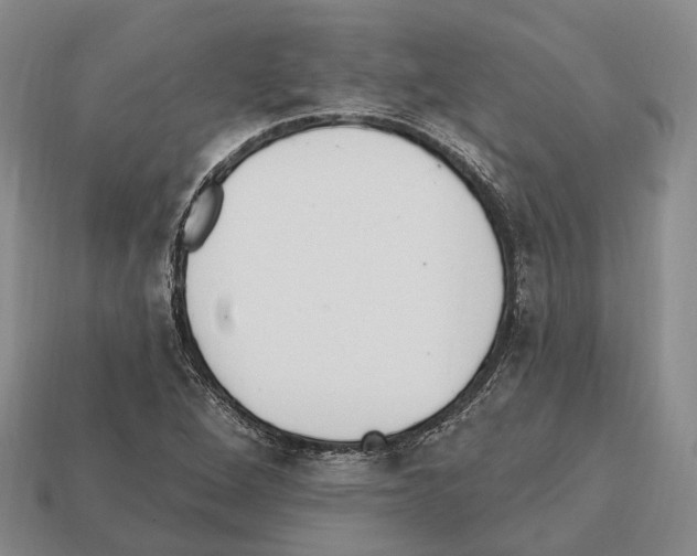 X0000112521264200909281009