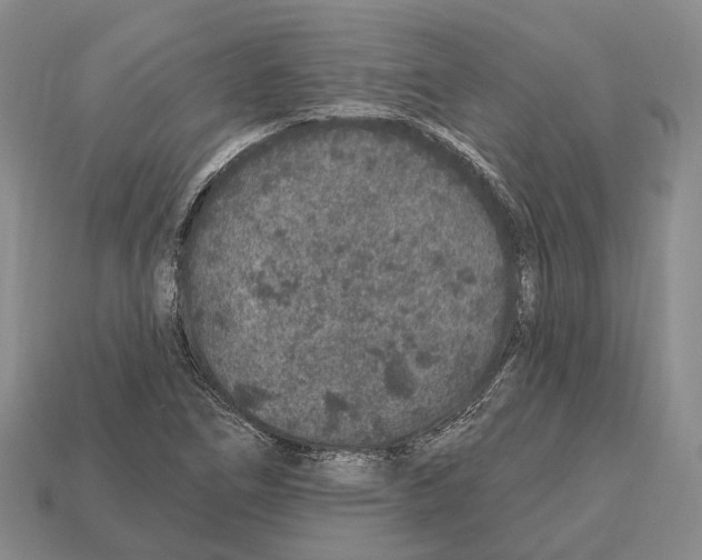 X0000112521266200909281009