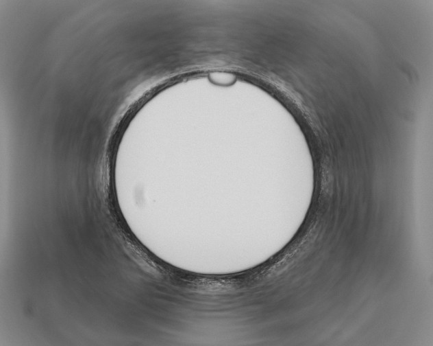 X0000112521270200909281009