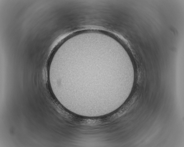 X0000112521271200909281009
