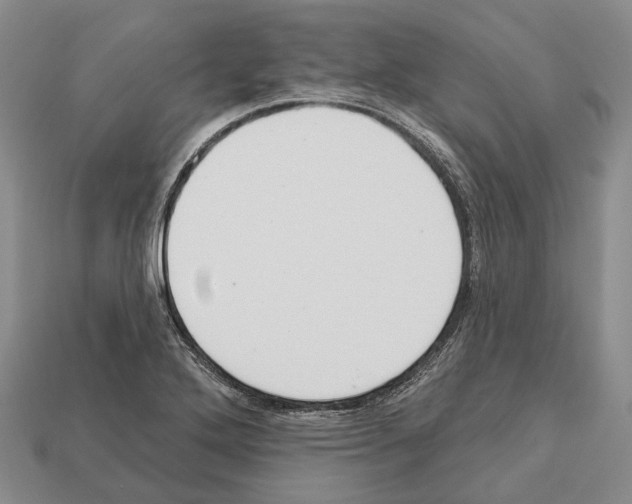 X0000112521272200909281009