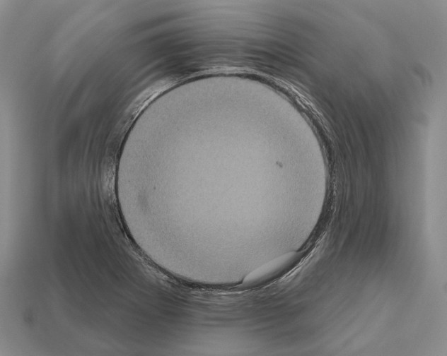 X0000112521273200909281009
