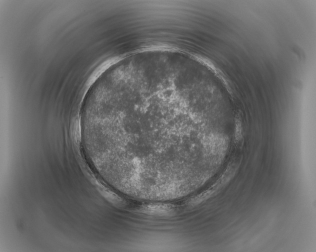 X0000112521274200909281009