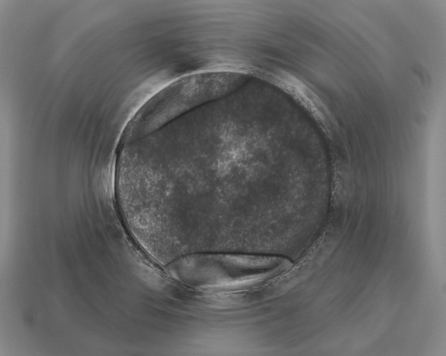 X0000112521276200909281009