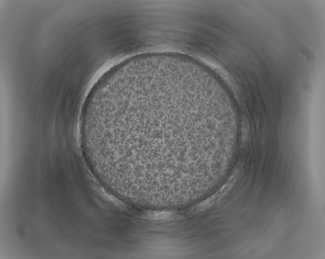 X0000112521278200909281009
