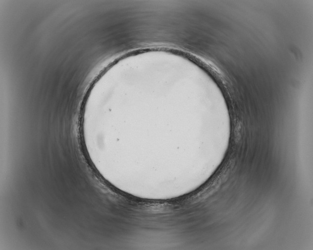 X0000112521279200909281009