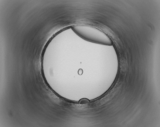 X0000112521280200909281009