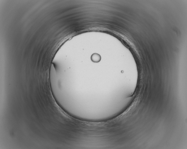 X0000112521281200909281009
