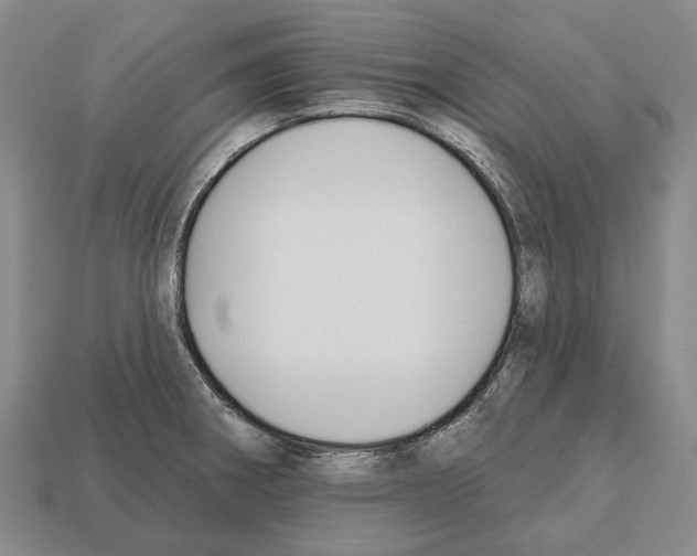 X0000112521282200909281009