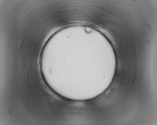 X0000112521283200909281009