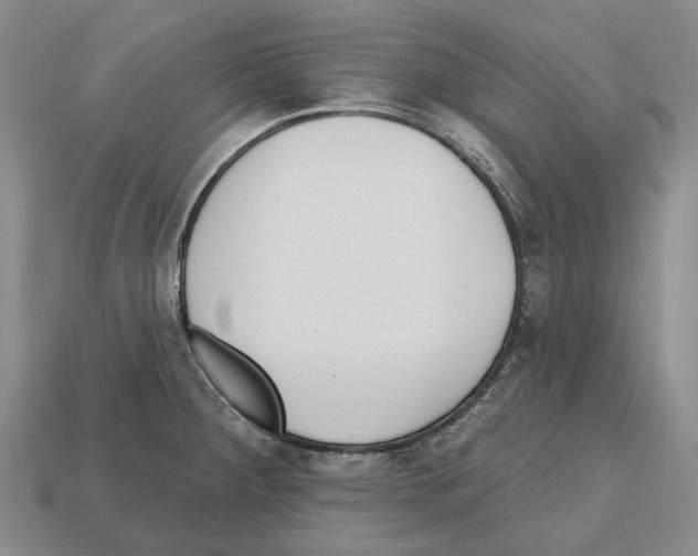 X0000112521284200909281009
