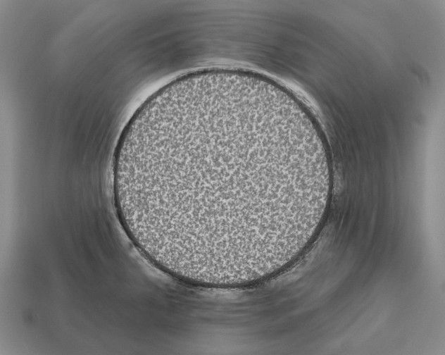 X0000112521287200909281009