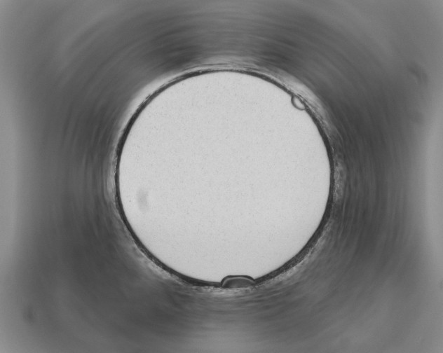 X0000112521288200909281009
