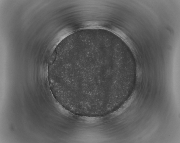 X0000112521289200909281009