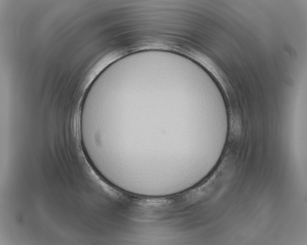 X0000112521290200909281009